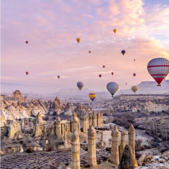 Meet your Posher, T - Picture 1 of 1